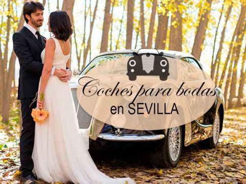 Vehículos de Alquiler Clásicos